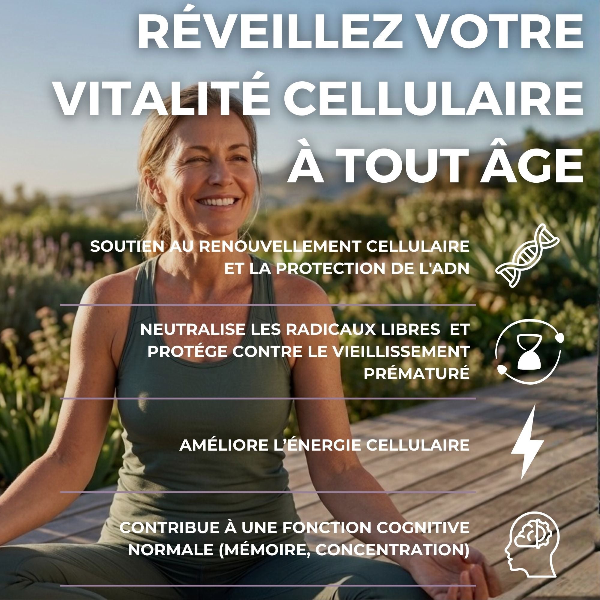 Trans-Resveratrol NAD+ Complex