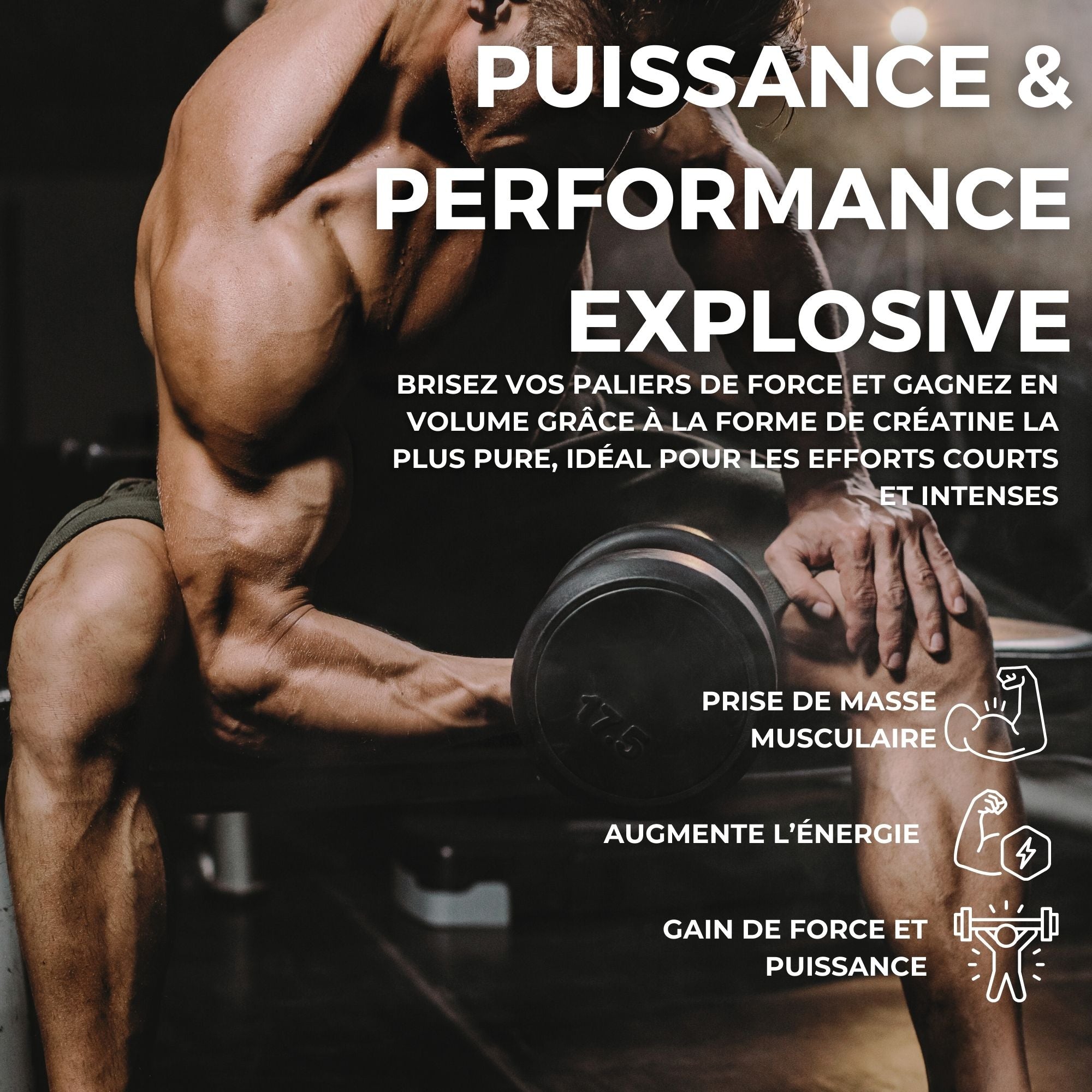 Creatine ultra pure